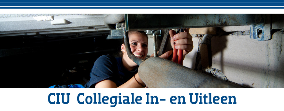 Header afbeelding van de website